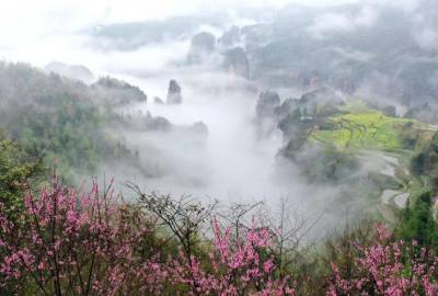 候鳥的選擇，彰顯湖南生態(tài)系統(tǒng)持續(xù)優(yōu)化